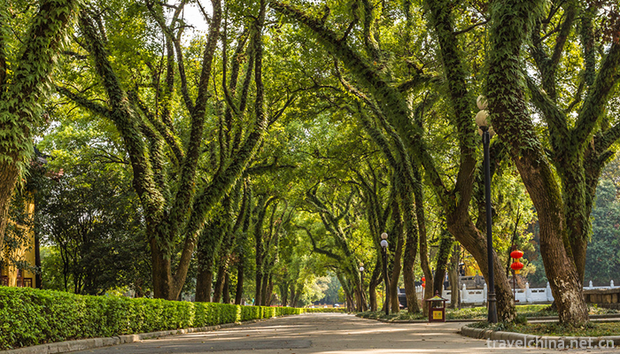 Sun-Zhongshan's-hometown-8