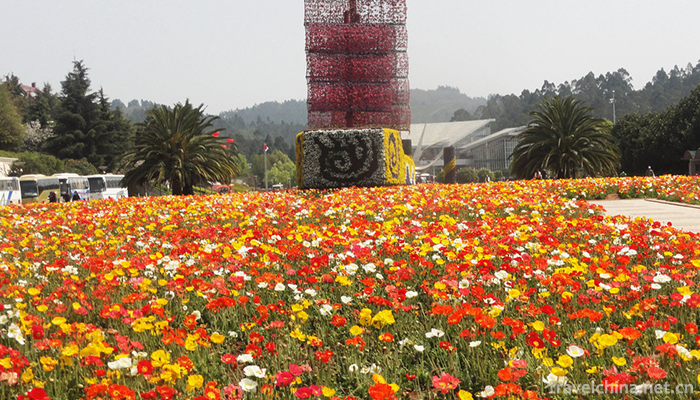 Kunming-World-Horticultural-Expo-Garden-5