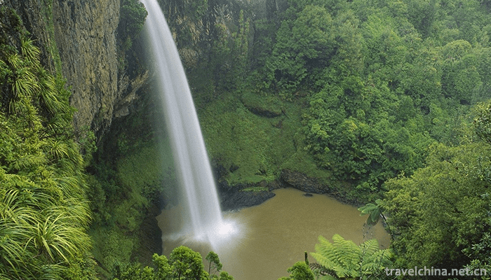 Nanchuan-Jinfo-Mountain-4