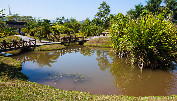 XiShuangBanNa-Tropical-Botanical-Garden,Chines-6