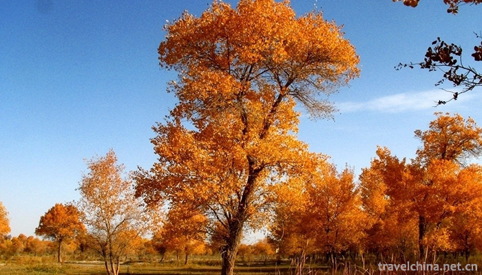 Zepkin-Lake-Yang-National-Forest-Park-4