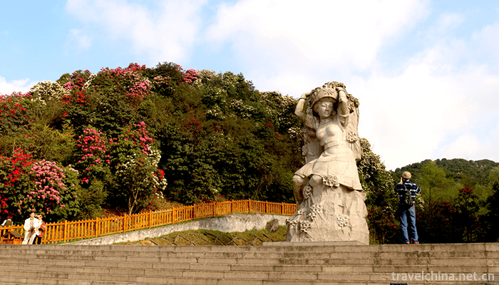 Baili-Rhododendron-Scenic-Area-in-Bijie-City-5