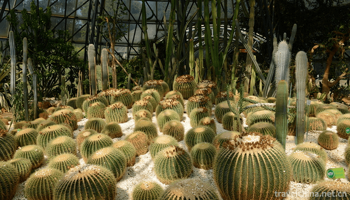 Kunming-World-Horticultural-Expo-Garden-6