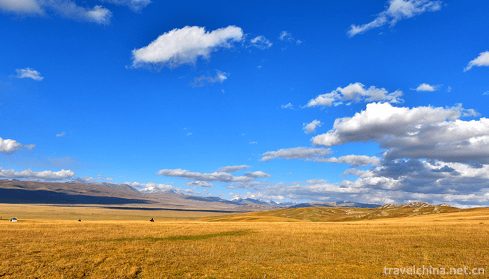Bayanbulak-Grassland-2