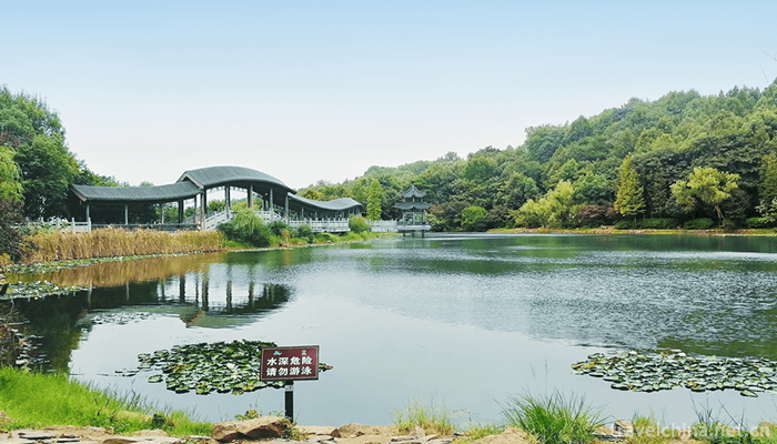 Yuelu-Mountain-and-Orange-Prefecture-Tourist-Area-5