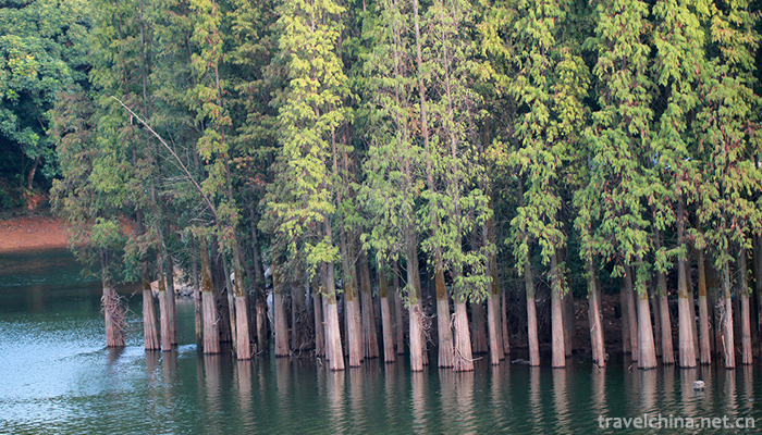 Xiqiao-Mountain-Scenic-Area-1