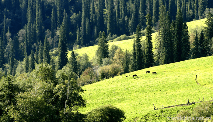 Narati-Scenic-Spot-7