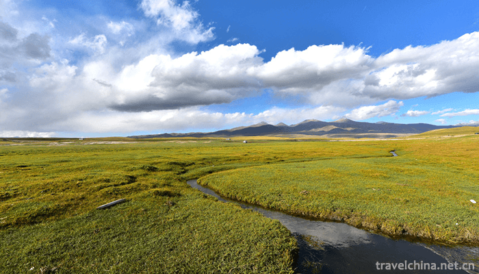 Bayanbulak-Grassland-1