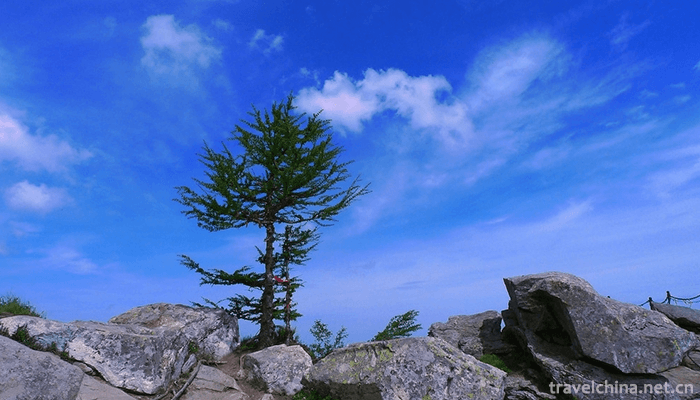Taibai-Mountain-National-Forest-Gong-13