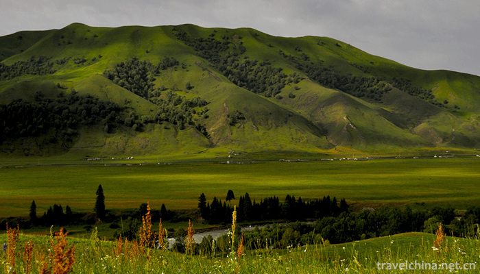 Bayanbulak-Grassland-6