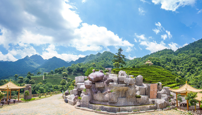 Yan-Nanfei-Tea-Field-Scenic-Area-1