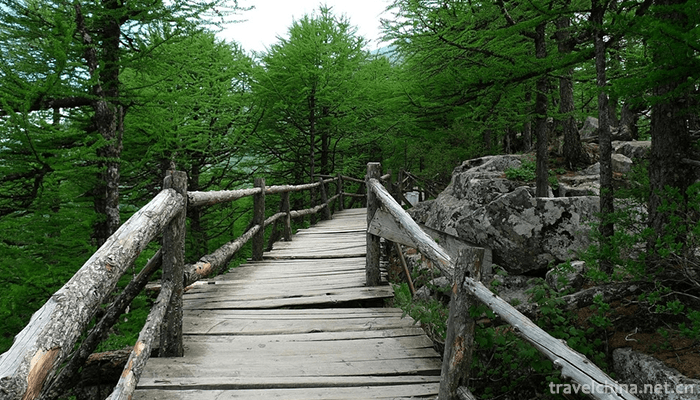 Taibai-Mountain-National-Forest-Gong-11