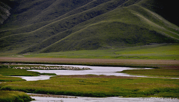 Bayanbulak-Grassland-5