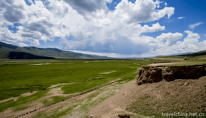 Bayanbulak-Grassland-14