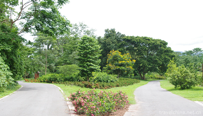 XiShuangBanNa-Tropical-Botanical-Garden,Chines-4
