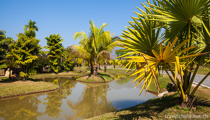 XiShuangBanNa-Tropical-Botanical-Garden,Chines-5