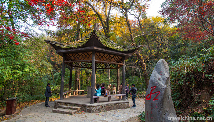 Yuelu-Mountain-and-Orange-Prefecture-Tourist-Area-1