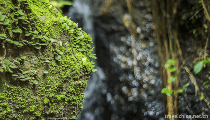 Xiqiao-Mountain-Scenic-Area-11