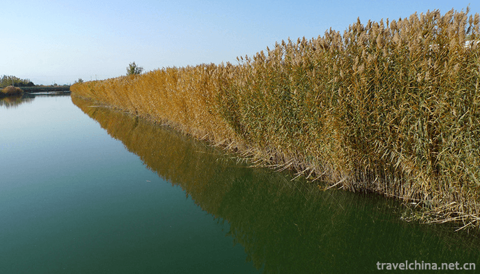 Bosten-Lake-Scenic-Area-1