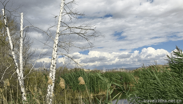 Baisha-Lake-Scenic-Area-5