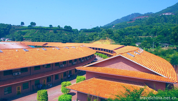 Yan-Nanfei-Tea-Field-Scenic-Area-4