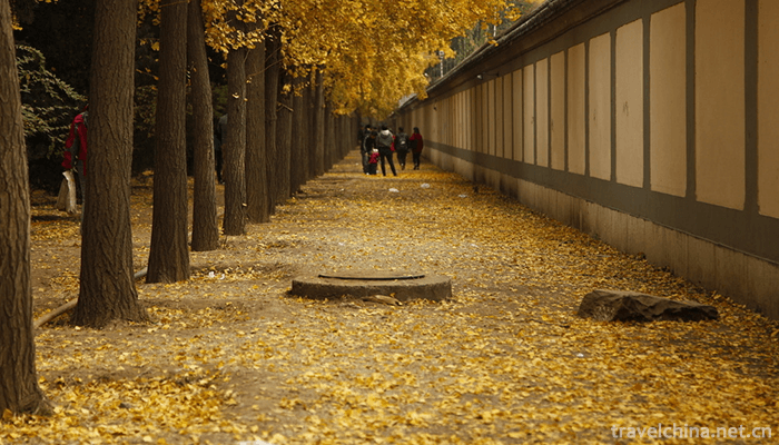 Diaoyutai-State-Guest-House-8