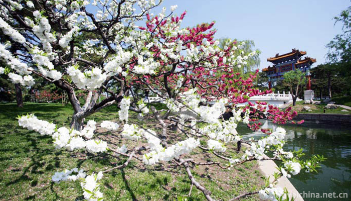 Diaoyutai-State-Guest-House-3