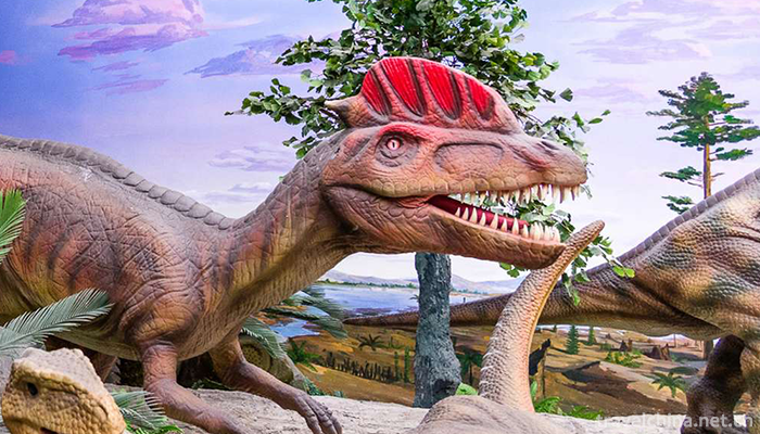 Beijing-Museum-of-Natural-History-4