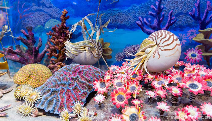 Beijing-Museum-of-Natural-History-5