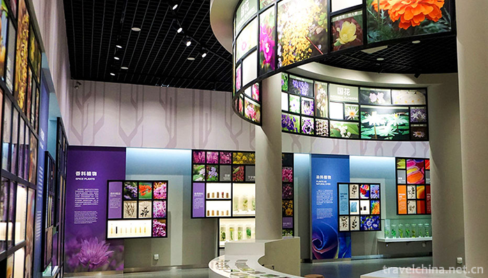 Beijing-Museum-of-Natural-History-8