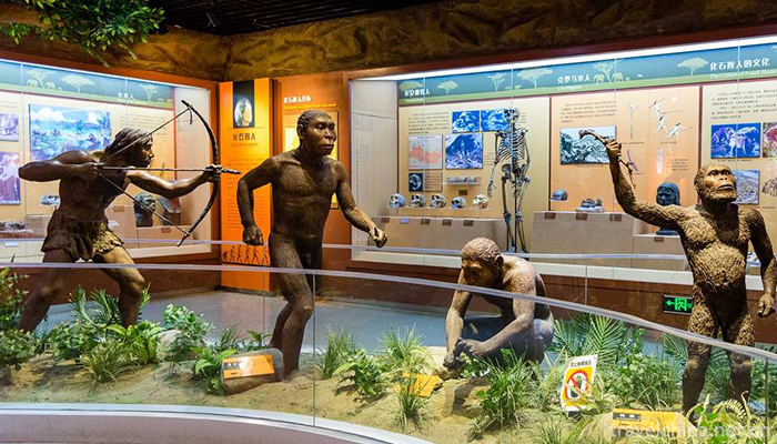 Beijing-Museum-of-Natural-History-3