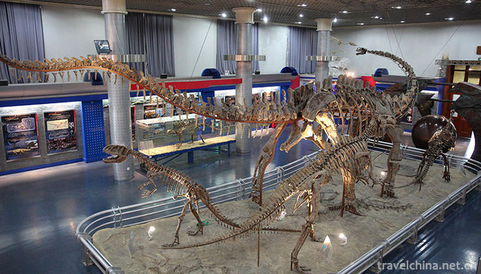 Beijing-Museum-of-Natural-History-1