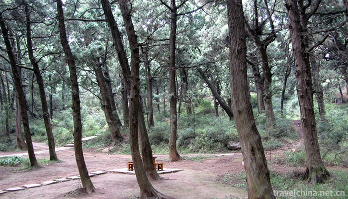 Qiqu-Mountain-Scenic-Area-1