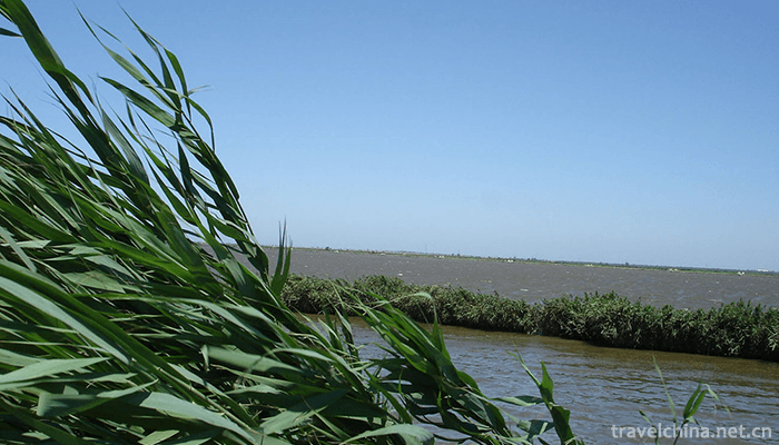 Qilihai-National-Wetland-Park-5
