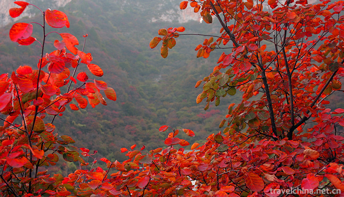 Shennong-Mountain-Scenic-Area-4
