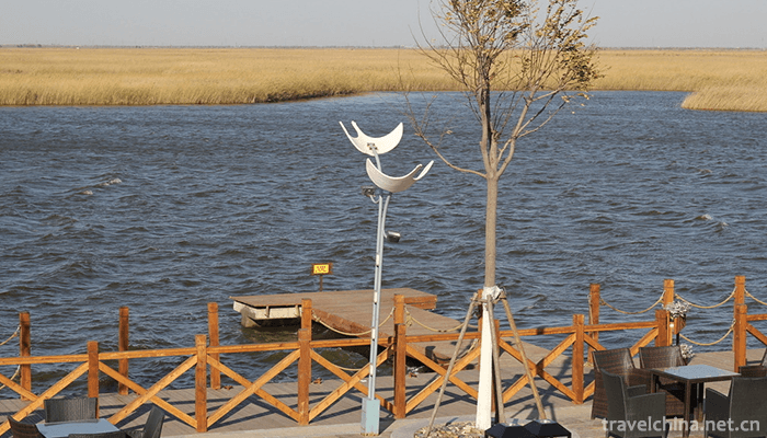 Qilihai-National-Wetland-Park-2