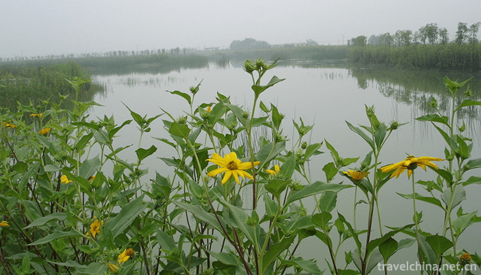Qilihai-National-Wetland-Park-3