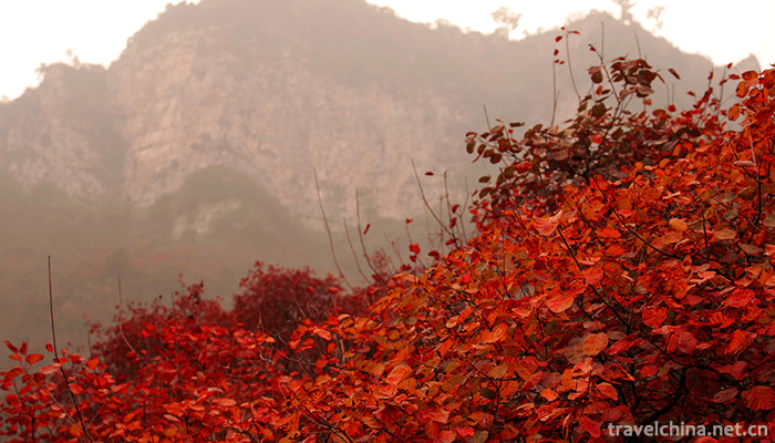Shennong-Mountain-Scenic-Area-5