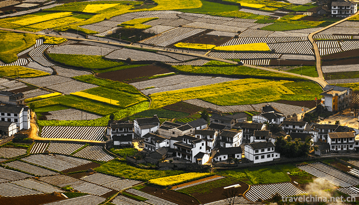 Wanfeng-Forest-Scenic-Area-3