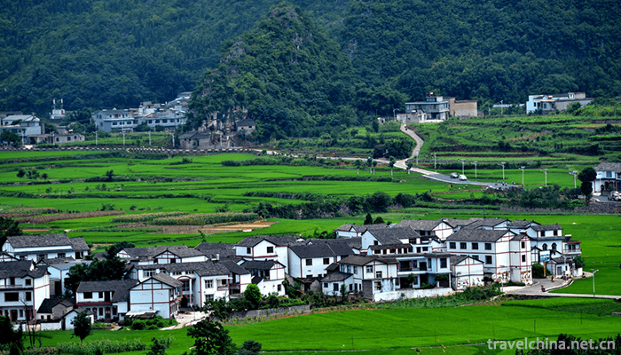 Wanfeng-Forest-Scenic-Area-8