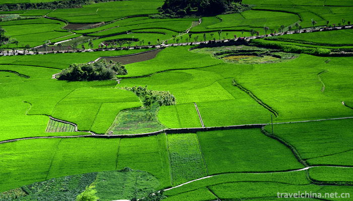 Wanfeng-Forest-Scenic-Area-7