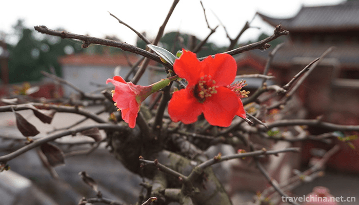Qiqu-Mountain-Scenic-Area-2