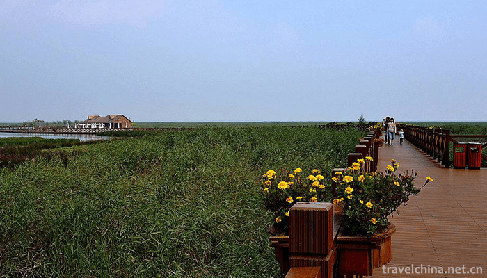 Qilihai-National-Wetland-Park-9