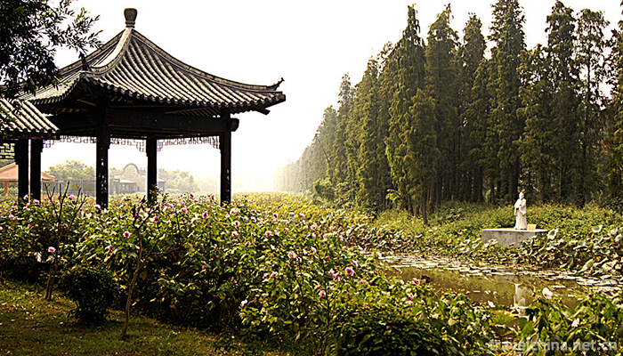Three-Water-Lotus-World-3