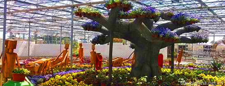 Shanghai Metropolitan Vegetable Garden 