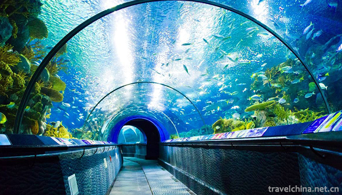 Shanghai-Ocean-Aquarium-6