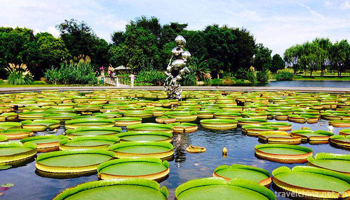 Shanghai-Chen-Shan-Botanical-Garden-12