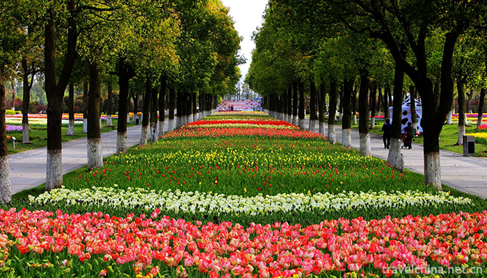 Shanghai-Flower-Port-6
