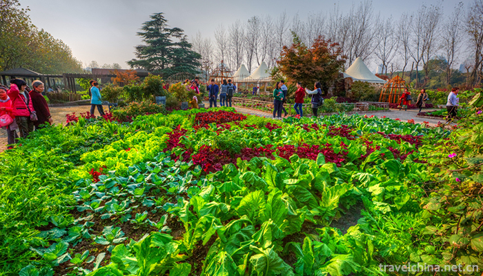 Shanghai-Century-Park-2