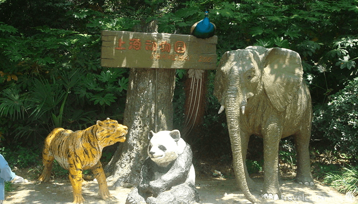 Shanghai-Zoo-1